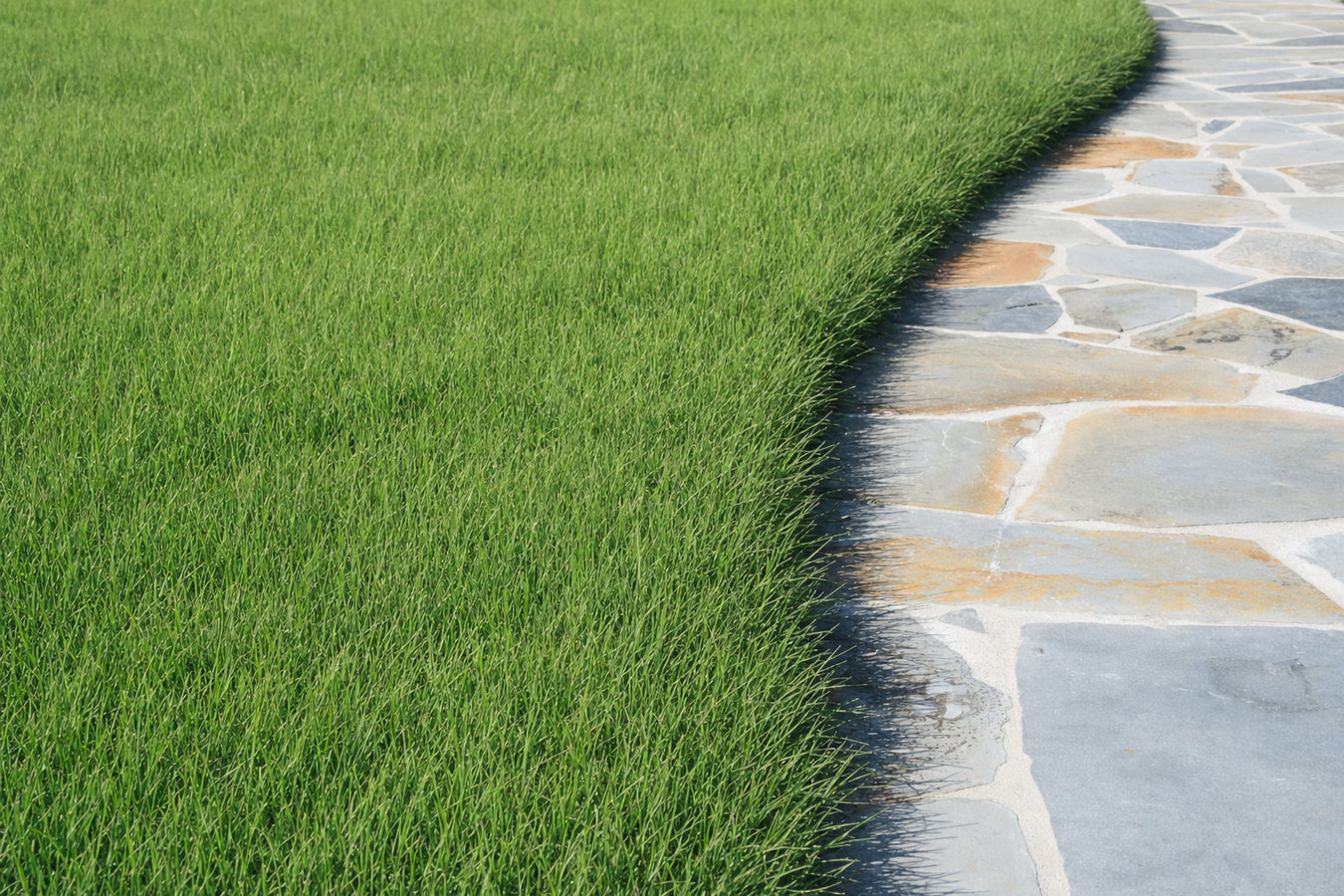 Drought-tolerant turf in Pacifica, CA